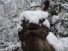 寝屋川から京都、大阪ミナミの街歩き二日間（二日目・完）～雪の京都市内をちょこっと散策。その後は、谷町から雪村・西鶴・近松などを訪ねます～