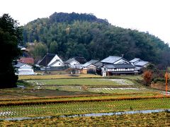 蝋梅を見に明日香村八釣の里へ。そこから馬見丘陵公園の蝋梅へ。