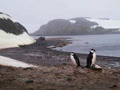 耐氷船オーシャン・ダイヤモンドで航く南極(その1)