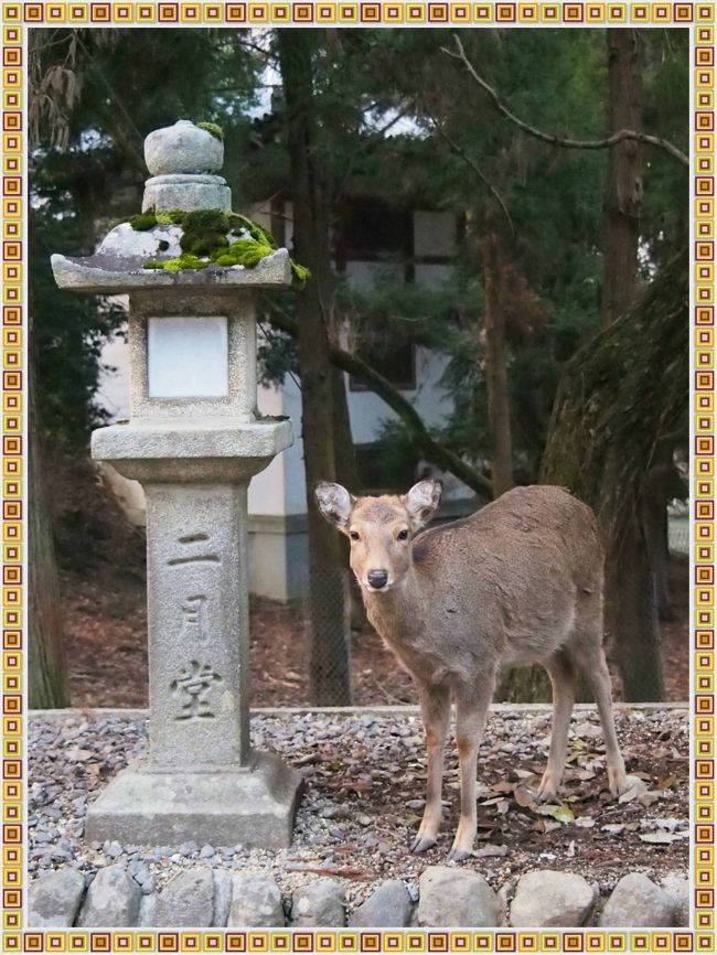 ３年ぶりの・・・連れ合いの大阪帰省と、せっかくだから、奈良のガブちゃんに会いに行っちゃおう～！　⑥　興福寺、ならまち、ちょっぴり東大寺・・・など　