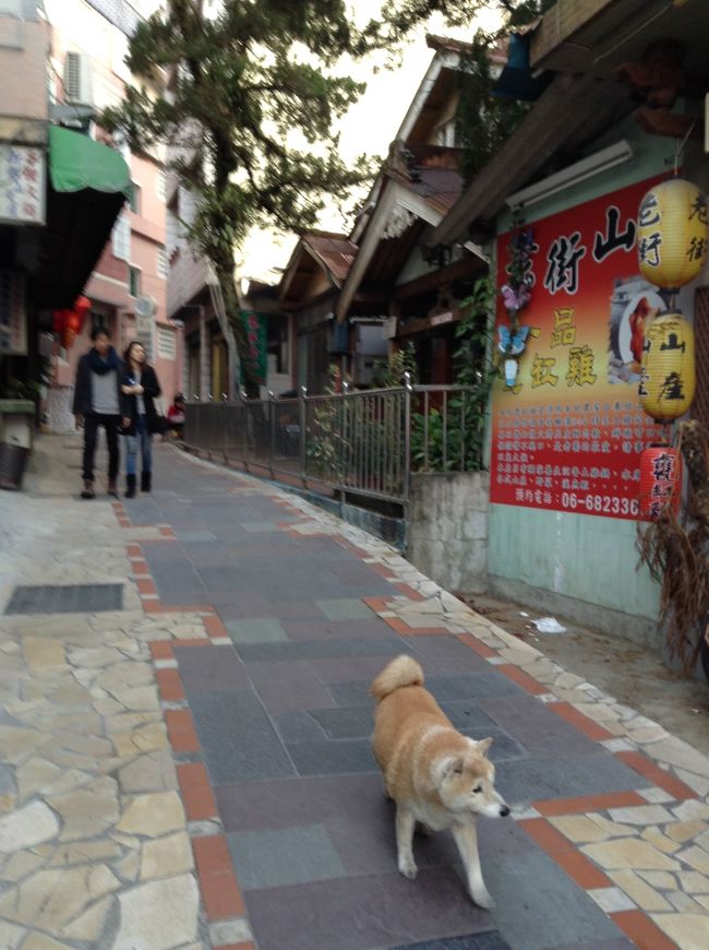 2014～2015年の年末年始は台湾で。あたたかい台湾で温泉入って避寒してきました。