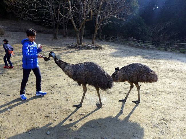 掛川花鳥園の屋内施設で沢山の鳥たちを楽しんだ後、最後に屋外施設に向かいます。<br /><br />屋外には広い池があって、大きな水鳥をはじめ、沢山の鳥たちがいましたが、とても寒くて、駆け足での見学でした。<br />