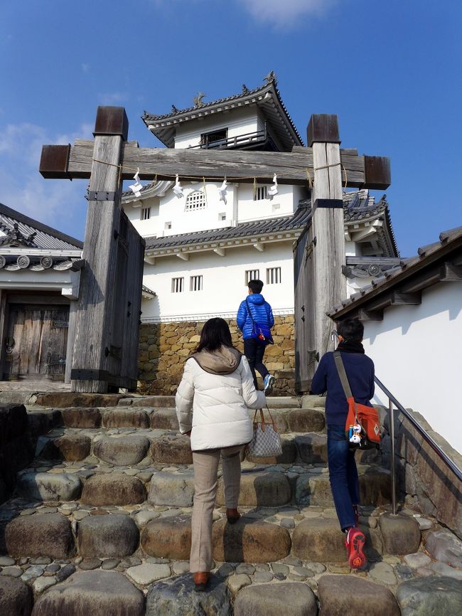 掛川花鳥園の観光のあとは、車で５分ほどの掛川城に向かいます。<br /><br />掛川城駐車場は平置き駐車場だとばかり思っていて、駐車場を探してウロウロ探し回っていましたが、実は立派な自走式立体駐車場でした。<br />