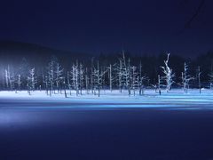 真っ白な冬の北海道　③白い美瑛と青い池