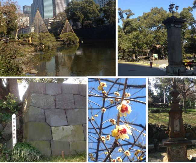 ぽかぽか陽気の立春！！日比谷公園を散策♪