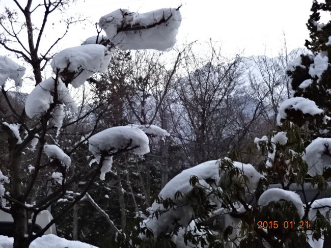 <br />2015年1月20日 3 日本有数の野天風呂につかりながら暁天に槍ヶ岳を仰ぐ<br /><br />今晩の宿は、「穂高荘山のホテル」。<br />高山からの連絡バスが出るまで、1時間強の待ち時間に、国分寺通りを歩く。<br /><br />一昨年に比べ、沿道の店はどう変化しているか。<br />歩いている人の表情は・・・。<br /><br />街の様子を観察することは、私の旅の一番の楽しみと言っていい。<br />50歳代、60歳代、「タウン・ウォッチング」と名付け、趣味の一環にしていた。<br /><br />海外の旅でも、「タウン・ウォッチング」は、重要な要素だ。<br />その町の一番豊かなところと、一番貧しいところを見たいと、心掛けている。<br /><br />その状況を比べながら、町の問題点や、過去・現在・未来を推し量る。<br />推量がどれだけ当たっているかも問題だが、推量するという行為に意味があると思う。<br /><br />私は土木技術者なので「町にどのように投資すれば、どのように変化するか」が課題なのだ。<br />それから、街の空気・文化風土、住む人の気質などを推論するのも楽しい。<br /><br />「タウン・ウォッチング」の一方法として、町を南北あるいは東西に縦横断することも多い。<br />バスや路面電車で、小さな町ならば歩いて・・・。<br />台北の街を、二日がかりで縦断したこともある。<br />そのことで、町の年輪を探す。<br /><br />その町がどのように発展してきたか、これから発展するであろうか。<br /><br />高山の国分寺通りは、この街で一番多く通った道なので、またやって来た。<br />高山の良さのひとつは、古い街並みの落ち着きを残していることだが、これは町の宝であり、しっかり守って欲しい。<br /><br />鍛冶橋のたもとで、昔からやっている焼き団子を買い、立ち食いする。<br />昔の味わいを楽しみながらも、味がどのように進化しているかを、確かめたいのだ。<br /><br />町を歩いて、初めてやって来たころの素朴な味わいが発見できず、観光ズレやマンネリ化が懸念される。<br />中学生が散歩姿の見知らぬ客の私に挨拶してくれた城崎では、町中に客をもてなそうとするチームワークのようなものを感じた。<br /><br /><br />昨日は荒れ模様だった様子で、雪も数十センチ積もったらしい。<br />雪下し風景も、ボツボツ見られる。<br /><br />私が暮らしていた金沢の、昭和18年豪雪が思い出される。<br />当時、中学一年生。<br />暗い道を、横から吹き付ける雪と戦い、腰まで雪に埋まりながら通った寒稽古。<br /><br />雪で道を見失い畑の隅にある下肥の桶に落ちた友達もいたが、地下足袋がビショビショに濡れて、足の感覚を失ったものだ。<br />「それでも戦地の兵隊さんの、敵弾を潜りながらの行進に比べれば・・・」と、考えながら、雪に向かって黙々と歩いた。<br /><br /><br />「穂高荘山のホテル」まで、一時間あまりの行程だった。<br />雪道に、あまり速度を落とさずに走るバスに驚く。<br />凍結防止剤をしっかり撒いているのかも知れないが、タイヤも進歩したのだろう。<br /><br />ホテルの一番の魅力は、日本一広いという野天風呂。<br />昔は歩いて下りたものだが、最近小型の自動ケーブルカーで運んでくれる。<br /><br />朝5時に誰もいない浴槽で、星を浴びる。<br />やがて空は青みを帯び、槍ヶ岳のシルエットが遠くに浮かぶ。<br /><br />そのほかホテルの魅力ポイントは、玄関わきの広いサロン。<br />ここでコーヒーを淹れてくださったおばあさんは、とても温かかった。<br /><br />奥にも足湯、そして薪がチロチロ燃える素敵なサロン。<br />窓から見える、松明に飾られた雪景色が幻想的だ。<br /><br />平湯大滝、凍結した姿が珍しい。<br />台湾からの団体、二三十歳の若い人が目立つ。<br /><br />2015.2.5片瀬貴文記<br />