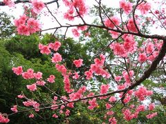 　沖縄の自然満喫の旅（2日目）