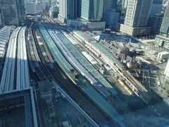 [2015年01月] 夜景とイルミネーション、キラキラいっぱいの東京