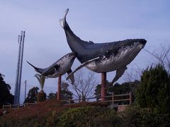 2015冬の合間に南紀湯めぐりツーリング（2）～勝浦、串本、太地～