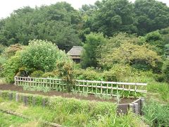 鶴見・馬場花木園