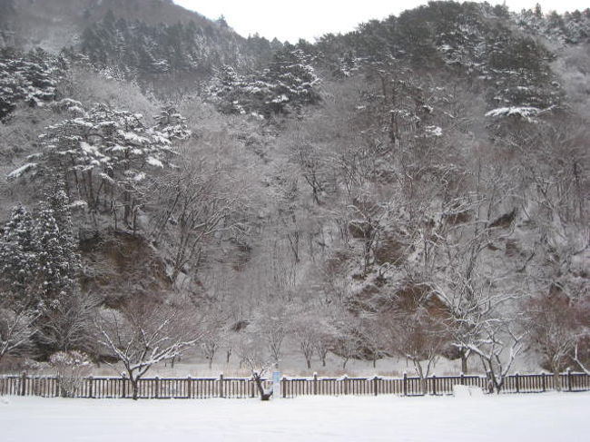 学生時代からの女友達と二人で温泉旅行へ。