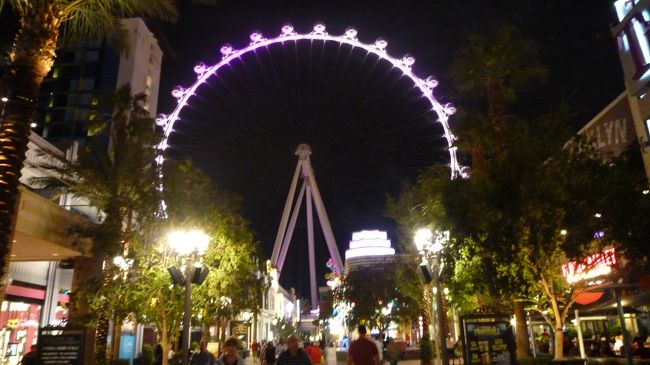 14年ベガス旅行記 Part5 世界最大の観覧車 The High Roller から夜景観賞 ラスベガス ネバダ州 アメリカ の旅行記 ブログ By R Bettyさん フォートラベル