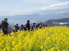 二宮・小田原散策