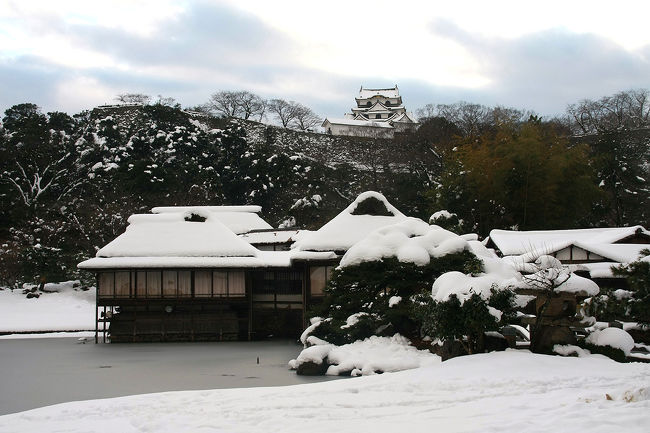 大雪が降って雪化粧していると聞いて駆けつけた京都でしたが、午前中から天気も良くどんどん雪は解けて昼過ぎには普段の景色に戻りつつありました。せっかくここまで来たのだからと午後からは更に進んで彦根城へ行くことにして再び電車に乗ります。