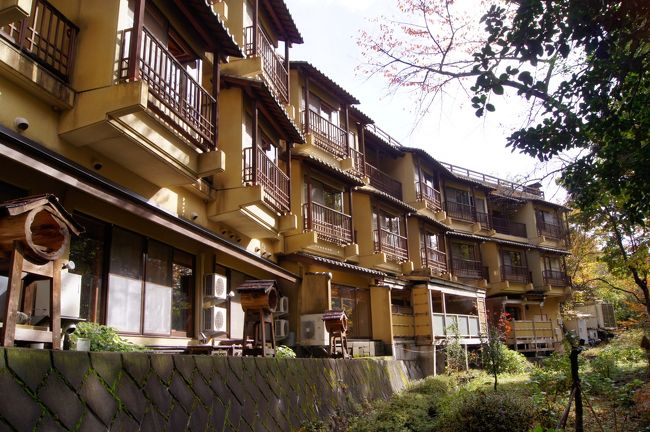 秋の群馬で温泉と食事を楽しむ為に、紅葉も終わった閑散期に谷川温泉へ。マイカーにて土合駅＝裏見の滝＝奈良俣ダム＝谷川温泉（泊）＝天神平。人も少なくゆっくり温泉・紅葉を楽しめました。時期はもう遅かったのですが、奈良俣ダム〜裏見の滝の地面一面の落ち葉と紅葉は圧巻でした。