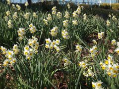 熱田神宮と公園散策へ