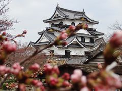 関西お城めぐりと桜花見ドライブ 滋賀編