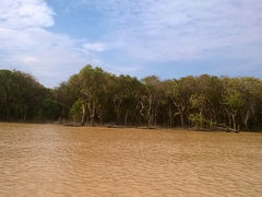 エコツーリズム（3）