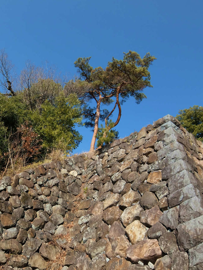 地方信用金庫様　初詣の旅　まずは　武田神社で<br /><br />　参加を致しました。<br /><br />　　気になる場所もありましたので。<br /><br />武田神社<br />http://www.takedajinja.or.jp/<br /><br />義臣旅記<br />２００８<br />桜の武田神社<br />http://4travel.jp/travelogue/10229963