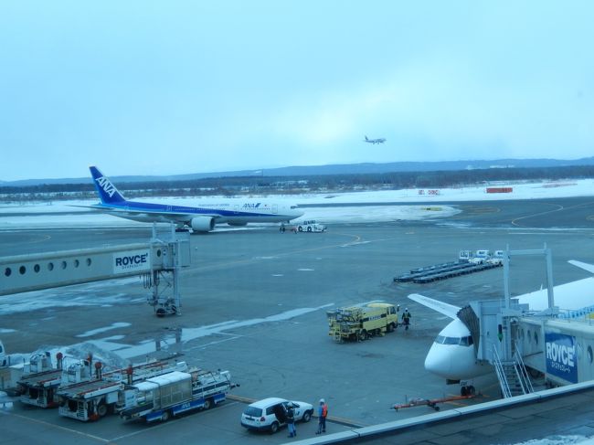 先月行ったばかりなのに思いつきで札幌雪まつりに行ってきました。マイルチケットを４日前にゲットして行きました。<br />本当は１泊２日の予定が悪天候のため飛行機の日にちと時間変更ができたので２泊３日に急遽変更しました。<br />今回の札幌はなんと雨！この時期に信じられません。<br />雪まつりは外国人がいっぱいきていました。出店も各地方のものなど沢山あり楽しめました。<br />宿泊　１泊目　三井ガーデンホテル札幌<br />　　　２泊目　モントレー　エーデルホフ<br />どちらともこの時期は一泊２万円くらいになります。