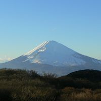 初春の箱根旅