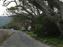 kakeroma island ☆shodon village