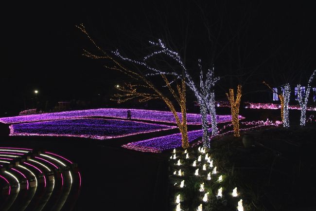 河内長野市の大阪府立花の文化園を会場にして、奥河内イルミナージュが開催されています。<br />今回が初めての開催で、宣伝が行き届いていないようで入場者はまばらで、ほぼ貸切状態でした。<br />とても幻想的で、綺麗でした。<br />期間　平成２６年１２月６日～平成２７年３月１日（日）