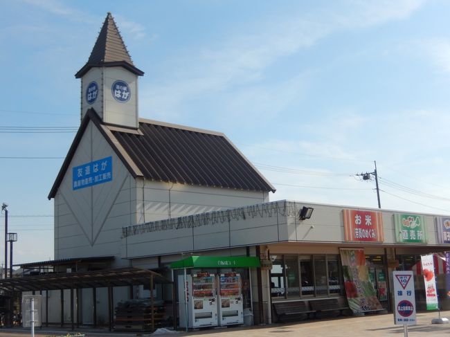 栃木県芳賀町の県道69号線にある「道の駅はが」に行きました、キッチン和京で食事をして芳賀温泉ロマンの湯に入浴をしました、ゆっくり休んだ後、市貝町にある「道の駅サシバの里いちかい」に寄ってから益子町に移動して栃木百名山である「芳賀富士」に登りました。<br /><br />道の駅はがは、駐車場が420台収容できる大きな道の駅で、露天風呂があり食堂・売店がある芳賀温泉ロマンの湯と物産館の友遊はが・食事が出来るキッチン和京中心で長時間楽しめるようになっていました、周辺はいちごの産地ですので関連商品が多く販売されていました。<br /><br />道の駅サシバの里いちかいも周囲にいちご畑が多いので農産物直売所にはたくさん販売されていました、道の駅はがよりかなりコンパクトな道の駅でした。<br /><br />登った芳賀富士は標高272mの益子町大平にある小さな山で大平山とも呼ばれているようです、頂上には三角点があり眺望が楽しめます、登山口の駐車場から往復30分もあれば登れます。