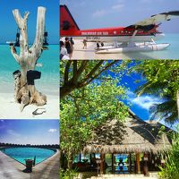 Romantic Holiday in Maldives  タージエキゾティカリゾート＆スパ・モルディブ  南マーレ環礁