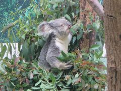 ZOOめぐり２０１４　第１２回（鹿児島市平川動物園）