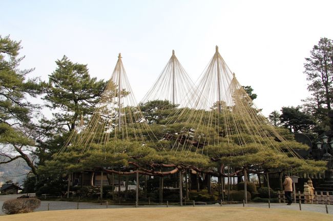 雪景色の兼六園を見ようと1月下旬に行きましたが、あいにく20〜30年振りにこの時期としてはまったく雪がない特異な状況でした。まあ自然相手だから仕方がありません。その代り歩きやすかったので細部まで鑑賞出来ました。