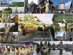 ボーデン湖・黒い森・アルザス・ベルン州の旅1-1　収穫期のヨーロッパを楽しむ旅が始まった！羽田～チューリヒ～メーアスブルク