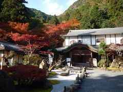 『古知谷・阿弥陀寺』の紅葉は静かで素敵でした♪◆京都・大原で紅葉＆京都市動物園でレサパンコミュ≪その１≫