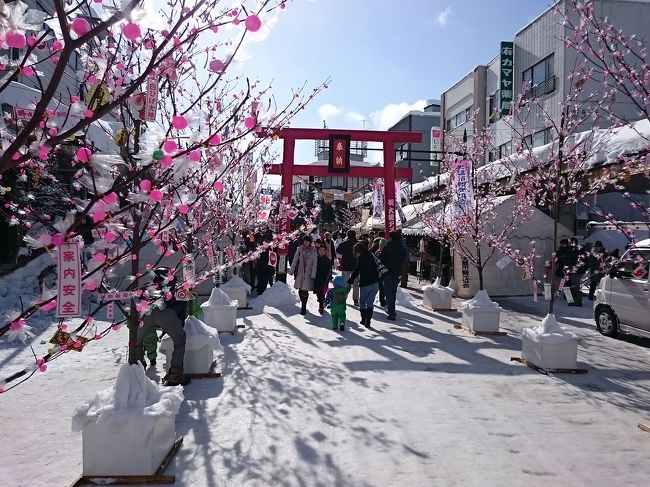 秋田県大館市のアメッコ市に行ってきました。<br />道中はとてつもない猛吹雪で、高速道路も除雪が追い付かない程。まぁ、急ぐ旅でも無いため、トロトロと安全運転で一路大館へ。<br />大館市に入ると、道中の天気が嘘のような晴天。気温もさほど低くなく、-1℃程度だったでしょうか。<br />清々しい凛とした空気のなかで、昭和というか、どこか懐かしい日本らしさ溢れる賑わいを満喫です。<br /><br />アメッコ市は大館市の商店街、大町のメインストリートを歩行者天国にして開催されます。延々と続くようなそんなに長い距離ではありませんが寒空の下で1〜2時間楽しむには丁度良い規模。<br />1588年から脈々と民族行事として続けられ、1972年から今の場所で開催されているそうです。(その前はどこでやってたのか知りませんが)<br /><br />アメッコ市のアメを食べると風邪をひかない!そうです。<br /><br />そもそもこの市は、「白ひげ大神」様が近くの山からアメを買い求めに降りてくる市なんだそうで、帰りの足跡を消すために白ひげ大神様が雪を降らせてしまうのだそうで(何とも迷惑な(笑))、そのとおり、行き帰りはとんでもない吹雪でした。<br /><br />で、そんなアメ好き(勝手な決めつけ)な白ひげ大神様に助けられたという、これがまた気立ての優しい働き者の「おこう」ちゃんが、病に倒れる人々のために薬アメを作ろう!ってんで一念発起。夢枕にたった大神様の指導を受けつつ、薬アメを完成させてしまう訳です。<br /><br />そんなこんなでこの日のアメを食べると「風邪をひかない」ってことになるんでしょうね。(ザックリ)<br /><br />ホントはローカル線にでも乗って(ワンカップでも飲みながら)のんびり行きたいところでしたが、生憎本数が少ない!のと、時間がやたらかかる!等の理由で、珍しく今回は車を運転して行きました。<br />でも良かった、白ひげ大神様のせいかどうかわかりませんが、あまりの風雪で元々数えるほどしかない汽車(電化してないので汽車です!)のうちかなりの本数が運休/遅延になったらしいです。<br /><br />車じゃない人は高速バスだと本数も多いし天気にも比較的強いですよ。<br />因みに、大館駅からアメッコ市会場である大町ハチ公通りまでは、かなり遠いです。<br />シャトルバス(有料)があるので、それに乗るかタクシーかということになります。足元も悪く、歩きはオススメしません。