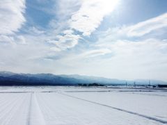 珍しく晴れた冬の新潟、新発田から阿賀野・水原、白鳥の瓢湖へ！