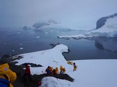 耐氷船オーシャン・ダイヤモンドで航く南極(その５) --ダンコ島上陸・パラダイスハーバー上陸