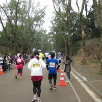 京都マラソン2015　京都市内の名所を走る（大会当日編）