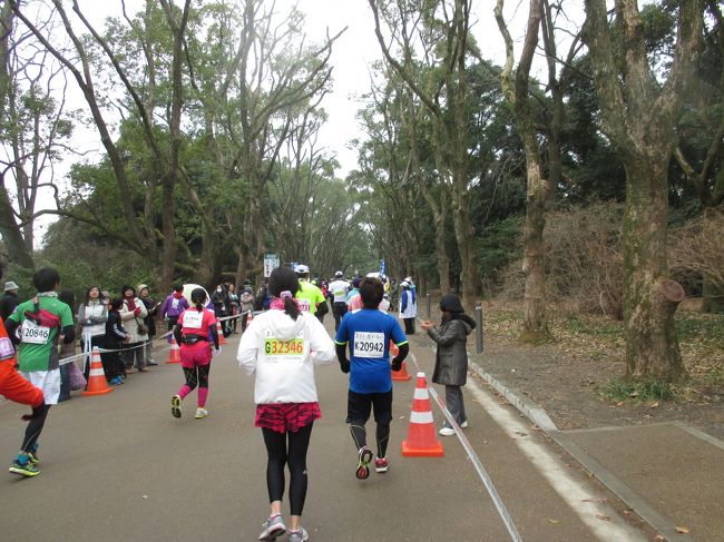 京都マラソン2015。西京極運動競技場を出て桂川沿いに渡月橋手前まで走り、清凉寺から嵯峨野に入り、アップダウンを繰り返しながら宇多野ユースホステル前、御室仁和寺、竜安寺、大文字、金閣寺など京都名所を巡りながら42.195キロを走ります。<br />アップダウンが続くコース設定ですが、今年は北山から蛍池に至る狐坂がなくなって、代わりに京都府立植物園の中を走ります。ここは走り易くてよかったです。植物園を抜けると加茂街道から鴨川の河川敷を走るようになります。道幅が狭くダートのところもあって走りにくいですが最終盤に向けてがんばりどころです。二年前に参加したときと違って、京都御所と京都市役所前に寄るようになっていました。<br />最後、平安神宮のゴールへの入り方もシンプルになって、進化し続ける京都マラソンといった印象です。