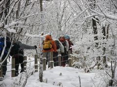 冬の榛名山系・掃部ヶ岳（かもんだけ）を楽しみました