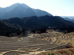 伊勢路から紀州路へと梅もほころぶ　早春の熊野古道♪　風伝峠・丸山千枚田・通り峠