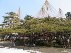 雪吊り兼六園
