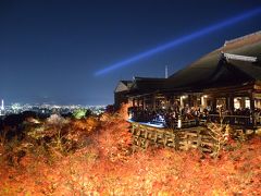 紅葉の清水寺のライトアップ☆秋の京都旅1日目！