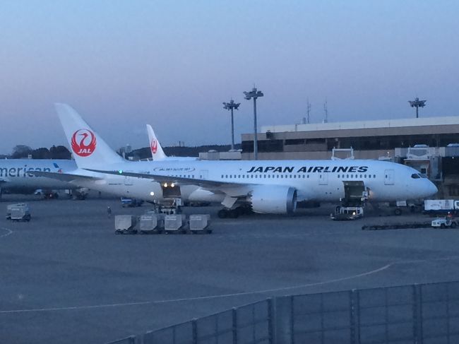 2月はOKA-SIN修行をすることにした。<br /><br />JAL JGCをFOPで目指す場合には定番のOKA-SINだが、私自身ではこれを行ったのは初めて。<br />いろいろなブログを見たりして、けっこう大変そうだなーという印象を<br />持っていたが、実際にやってみるとそうでもなかった。<br />全然修行という感じではなかったし、普通に楽しかった。<br />9年ぶりの国際線ということで、ワクワク感もあったし<br />AMXの1日10回搭乗と比べてもそうでもないしやっぱり飛行機が好きなのは大きいのかもしれない。<br /><br /><br />旅程は以下の通り。<br />2015.2.10-羽田-沖縄 JAL JAL0903(国際線乗り継ぎ運賃、クラスJ)<br />2015.2.10-沖縄-羽田 JAL JAL0910(ダイナミックセイバータイプF、クラスJ)<br />2015.2.12-羽田-沖縄 JAL JAL0909(ダイナミックセイバータイプF、普通席)<br />2015.2.12-沖縄-羽田 JAL JAL0916(国際線乗り継ぎ運賃、クラスJ)<br /><br /><br /><br />それでは始めましょう。<br />まず1レグ目、JAL903。<br />ここでは当日UPに成功。<br />ただ、帰りの沖縄-羽田便は搭乗口変更のために羽田では手続きができないと言われてしまう。<br /><br />今回は定刻にプッシュバックし、到着。<br />この便ではクラスJの中では最後列に、リクライニングし放題だったからなかなか快適だった。<br />前回同様、空港食堂で昼食をいただいたうえで、<br />ラウンジ華へ。あまり設備も良くないけれど、修行中はこれからもお世話になります。<br />例によって、シークワサージュースをいただく。<br />ゆっくりしていると、時間もなくなってきたのでさっさと保安検査場へ。<br /><br />搭乗口の前で、沖縄に来ると恒例のブルーシールを食す。<br />ちょうど食べ終わった頃に、搭乗が始まったので飛行機へ。<br /><br /><br />2レグ目、JAL0910。<br />羽田でクラスJにアップできなかったので少し不安でしたが、903便を降りてから<br />チェックインカウンターで無事アップできましたので、ここでもクラスJ席。<br />今回は、1列目の非常口座席だったので足幅も非常に広く快適でした。<br />この席をインターネットから指定できるまで修行頑張らないとw<br />快適だったのでうとうとしていたら、気がついたら羽田上空。<br />というわけで、羽田に帰還。<br /><br /><br />ここからは、羽田から成田まで陸路で移動。<br />昔はここで沖縄から成田まで便があったみたいですが、この移動は面倒。<br />まあ仕方ありません。<br />修行している方のブログを見る限り、リムジンバスで移動される方が多いようですが、<br />僕は電車も好きだしリムジンバスで行かないといけないほどの荷物は全くない(普段使いのバッグ1つだけ)<br />なので、今回は電車で移動。<br />JALマイラー/修行僧としては少しでもモノレールを使って25マイル稼がないとねw<br /><br />ということで、モノレールと山手線で日暮里に出て、そこからスカイライナーを利用し成田へ。<br />羽田空港第1ビル駅からは1時間半ほどで到着。<br />自分は成田空港には昔も今もお世話になっていますが、<br />最後に国際線に成田から乗ったのは9年前なのでとても楽しみにしていました。<br /><br />まず到着すると、1Fに上がってシンガポール用のwifiを受け取り。<br />とても安くて、助かりました。<br />そして、ビジネスクラスカウンターでチェックイン。(エコノミー利用ですが、club est持ちなので)<br /><br />3レグ目、JL711、シンガポール行き。<br />実は、ここで搭乗の際にボーディングブリッジで写真を撮った後、iPhoneをどこかへやってしまう...<br />シンガポール到着後、自分の3列後ろの窓側に落ちてるのを発見。<br />どうにか7時間フライトの間不安に駆られていたものの見つかってよかったですが、<br />その間機内食とか写真を撮れず...(泣)<br /><br />まあ修行にトラブルはつきものだと思うようにします。<br />機内では、アイスクリームも出されたのでいただきました。<br />というわけで、ほぼ定刻でシンガポール・チャンギ空港に到着。<br />ちょっと小腹が空いたので、到着後近くのバーガーキングで一息。<br /><br />その後、第1ターミナルのトランジットホテルへ。<br />修行僧にはおなじみですが、今回は6時間のバジェットルームを日本から事前に予約して行きました。<br />窓もなく、また部屋の中も少し臭かったですが朝まで物価の高いシンガポールにあって<br />安い値段で過ごせるのだからこれで十分。<br />飛行機で十分寝ていたのもあって、全然眠くなかったけどw<br /><br /><br />翌日は1日空港の中をぶらぶらして過ごしました。<br />街中に出て、思いっきり観光しようかなとも思ったけれど<br />まず今回はラウンジ巡りしたりチャンギ空港は世界でもトップレベルに空港で快適に過ごせる<br />空港ということでそれを今回は感じたかったのでね。<br /><br />また来月、再来月あたりにここに戻ってくることが容易に想定されたので、<br />今回は空港内で1日を過ごすことに。<br />美味しいものを食べて、ラウンジでまったりして過ごしました。<br />チャンギ空港ではプライオリティパスの威力は絶大。<br />日本ではあんまり役に立ちませんが、ここではすごいなー。<br />おかげで相当出費はセーブした状態でシャワーを浴びたりドリンクを飲んだり、<br />ついでには足湯や夕食までもプライオリティパスで楽しむことができました。<br />楽天プレミアムカードを1月に作って、プライオリティパスを使ったのは今回の修行が<br />初めてでしたが今回の修行だけでももう年会費の元は取れた気がしました。<br /><br />帰りの便は1:55発でチェックイン開始は3時間前ですが、<br />その前に22:00発の便もあるのでその3時間前の19時ちょっと過ぎのチェックインして<br />その後は搭乗の時間までラウンジ巡りをしました。<br /><br />この時に会社へのお土産を買ったのですが、<br />見事にラウンジに忘れてきてしまいました^^;<br /><br /><br />4レグ目、JL038・羽田行き。<br />搭乗口で日本語がたくさん飛び交っているのにすごく違和感を感じつつ、搭乗。<br />深夜便ということで、機内食は夜はスナックのみ。<br />朝食の機内食も軽めでしたね。<br />搭乗前のラウンジ巡りでかなり食べましたが、正解だった気がする。<br />なんと行きと同じCAさんで自分のことを覚えてくれてましたね。<br />それは修行僧的なことではなくて、「携帯は見つかりましたか」と。<br />こういう会話も修行中は楽しいものですね。<br /><br />1日よく動いたので、スナックと飲み物をいただいたらすぐ寝てしまいました。<br />起きたら、既に朝食が出されそうとしているところで沖縄上空でした。<br />偏西風のおかげで、帰りは所要時間が6時間程度ですが<br />かなり短く感じました(寝てたせいでしょう)<br />というわけで羽田へ到着。<br /><br />国際線で羽田を使ったのはこれが初めてでした。<br />なんと沖止めで、バスでターミナルへ。<br />ランプサイドに降りた時に、ANA機が多数だったので時代の流れを感じましたね。<br />すぐ乗り継ぎカウンターへ向かい、保安検査場を経由して連絡バスへ。<br />9:30到着で次の沖縄便は10:40でしたがかなり急かされるし<br />時間がせまっていたせいでクラスJにアップできなかったので<br />次回以降はもう1つ後の便にしようと思います。<br /><br /><br />5レグ目、JAL909便・沖縄行き。<br />ここでは仕方ないので普通席。<br />でも、ラッキーなことにここでは普通席の中では最前列だったので足幅は広かったので<br />全く問題無しでした。<br />いつもだったら、沖縄に到着してここで空港食堂に行くとこですが<br />いつも同じでは芸がないので今回はA&Wに行くことに。<br />今回はいただきませんでしたが、次回はルートビアを試してみたいと思います。<br />その後またラウンジ華に寄ったのち、今回の修行では最後の6レグ目・JAL916へ。<br /><br />ここでは、クラスJへのアップグレードに成功。<br />この便はファーストクラスのある機材でしたがさすがにUGはできず。<br />そんなこんなで、羽田に無事到着。<br /><br />その後、シンガポールで使ったwifiを返却するために再度連絡バスに乗って<br />国際線ターミナルへ。<br />global wifiを今回は初めて使いましたが、チャンギ空港ではfree wifiが入るとはいえ<br />うまいこと繋がらないところもあるしすごく重宝しましたし<br />速度も通常自分が使っているwimaxと遜色ないほどだったので、<br />また次回も使いたいと思います。マイルもたまるし、500円引きもあるし。<br />さらに、クーポンもいただいたので次回使いたいと思います。<br /><br />せっかく初めて国際線ターミナルへ来たので、ターミナルをぶらぶらして<br />吉野家で夕食代わりに食事をしてから帰りました。<br />もちろんモノレールでw<br /><br /><br />初めてのOKA-SIN修行でしたが、<br />全然修行という感じではなく普通に楽しむ事ができました。<br />それは自分が飛行機が好きで全く苦痛ではなかったのもあるでしょう。<br />今のところ、また4月に解脱直前にOKA-SINをする予定です。<br /><br /><br />今回のフライトの結果...<br />積算FOP:15828FOP<br />積算マイル:14774マイル(かなり羽田便ダブルマイルが効いてます)<br />この結果、現時点では...<br />積算FOP:28550FOP<br />FOP単価:6.072<br /><br /><br />ここまでは効率もかなりよく、いい感じ。<br />今の所来月、eポイントをいくばくか使ってOKA-ISG修行をして、<br />再来月再度OKA-SINをして解脱の予定。<br />また次回も楽しみです。<br /><br /><br />やっぱり修行は楽しまないとね。<br />ただ飛行機に乗っているだけじゃもったいないし、自分は何をしているのだろうって<br />なっちゃいますからねw
