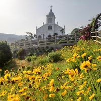 熊本　一人旅♪　（3日目、天草編）