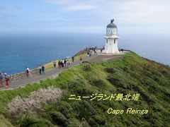 ニュジーランド北島 ドライブ旅行