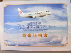 関空からも飛んでました！初日の出フライト2015