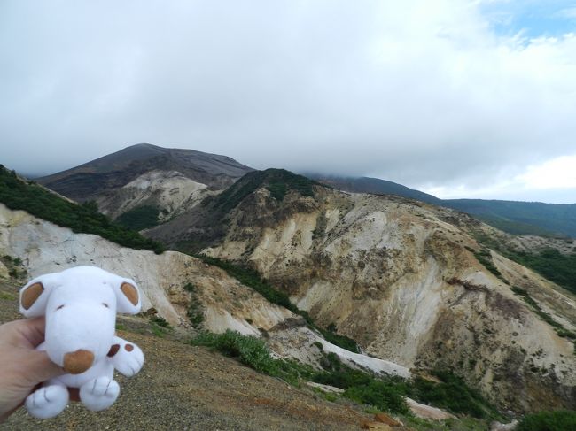 山形県から蔵王山を越えて宮城県に入ります。<br />蔵王を縦断する県道12号線を通りましたが、「御釜」は前に来た時にばっちり見えたので今回はパス...。<br />JOECOOL夫婦はやっぱり滝を見たい！<br />ということで再訪になりますが、「駒草平」から見える二つの滝『不帰の滝』＆『振子滝』を見に行くことにしました。<br /><br />前回は2008年9月に訪れています→http://4travel.jp/travelogue/10273532