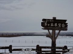 2012年11月　初めての北海道遠征　その3　最終日は羊ヶ丘展望台と支笏湖へ