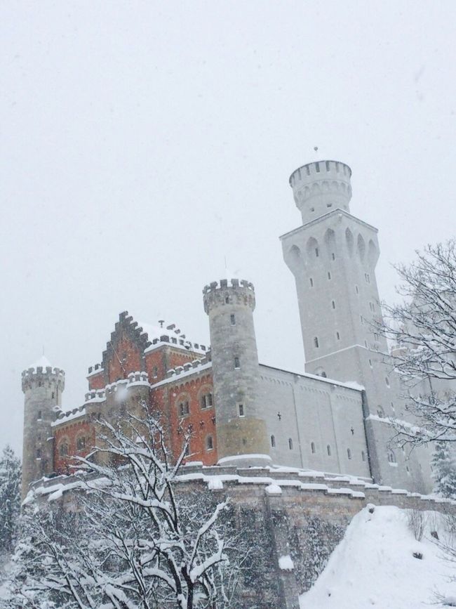 5日目は7時前に起床、前日に続き大雪です。<br /><br />本日は、この旅のメイン、<br />ノイシュヴァンシュタイン城！！！<br /><br />夕方の列車でミュンヘンへ向かいます。<br />