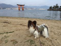 宮島SA～宮浜温泉～厳島神社